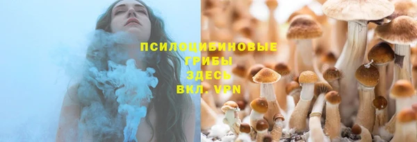 ГАЛЛЮЦИНОГЕННЫЕ ГРИБЫ Аркадак
