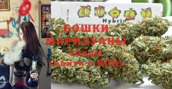 амф Магас